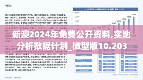 2025年新澳精准资料免费提供网站,前沿解答解释落实